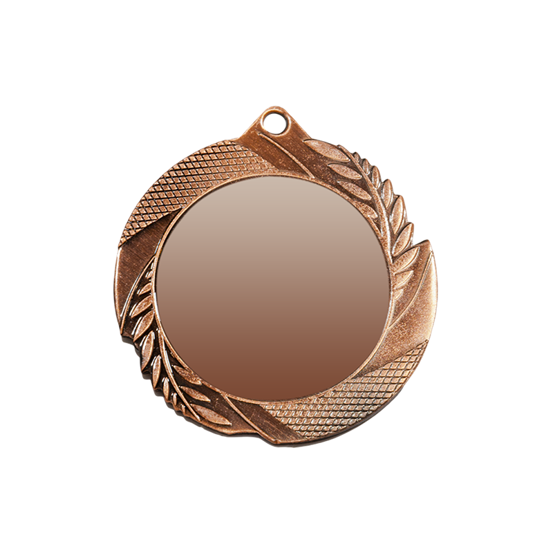 ZB2962 brąz medal 70mm