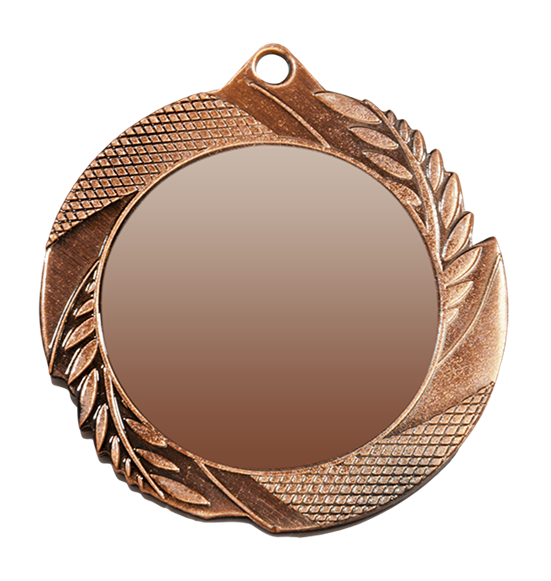 ZB2962 brąz medal 70mm