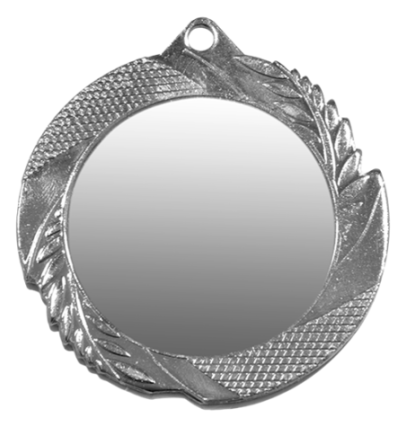ZB2962 srebro medal 70mm