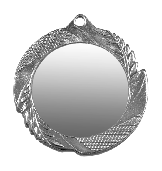 ZB2962 srebro medal 70mm