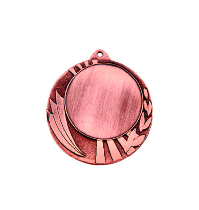 ZB7002 brąz medal 70mm