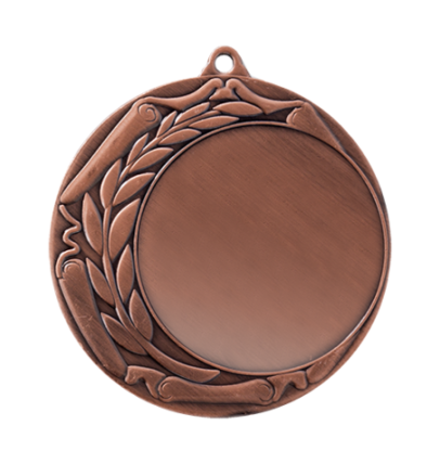 ZB9193 brąz medal 70mm