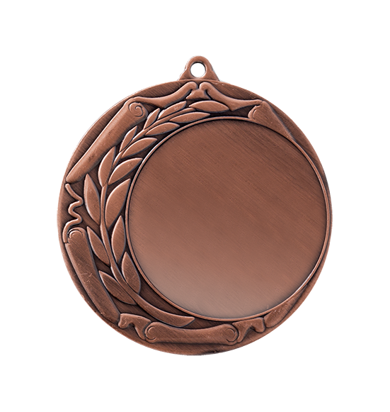 ZB9193 brąz medal 70mm