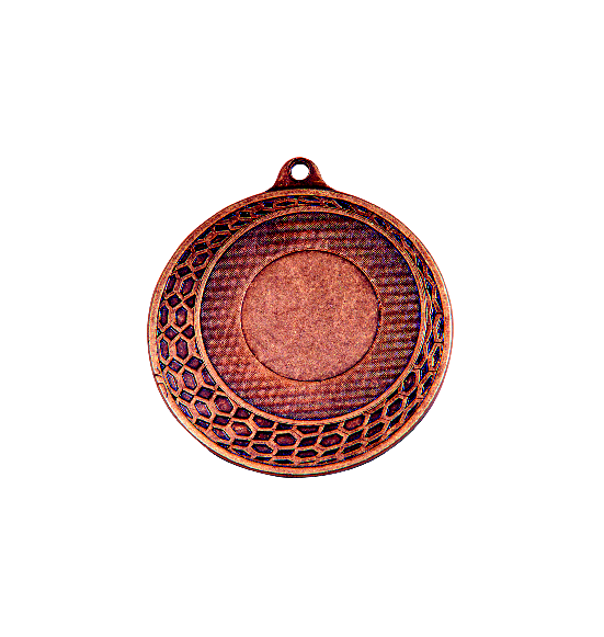 DL003/70mm medal brąz