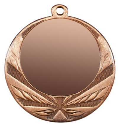 ZB2960 brąz medal 70mm