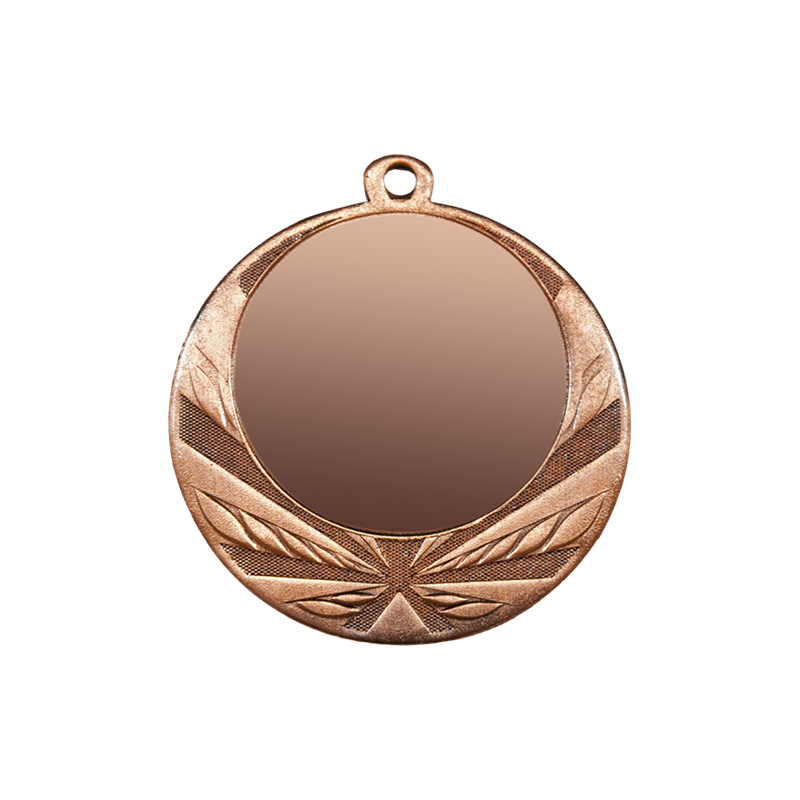 ZB2960 brąz medal 70mm