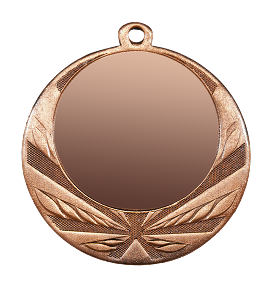 ZB2960 brąz medal 70mm