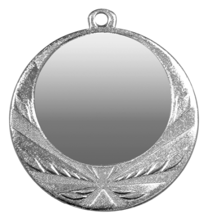 ZB2960 srebro medal 70mm