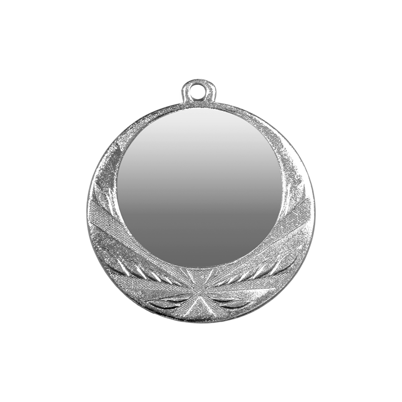 ZB2960 srebro medal 70mm