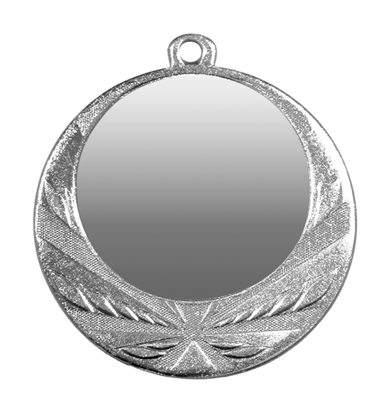 ZB2960 srebro medal 70mm