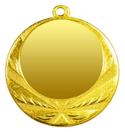 ZB2960 złoto medal 70mm