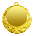 ZB2960 złoto medal 70mm