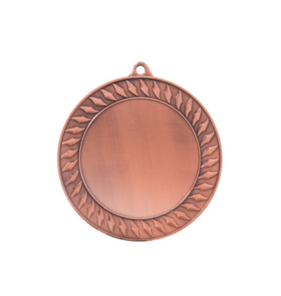 ZB9196 brąz medal 70mm