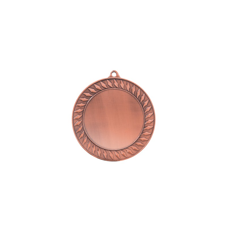 ZB9196 brąz medal 70mm