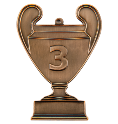 cup3/B - 86x62mm medal brąz NUMER 3