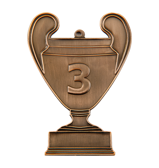 cup3/B - 86x62mm medal brąz NUMER 3