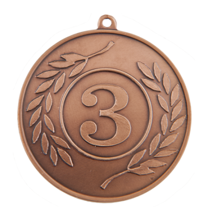 M13/50/B medal brąz NUMER 3