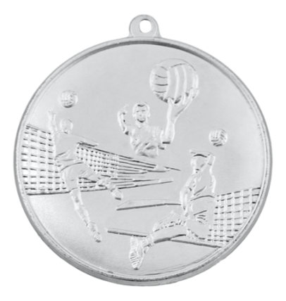 M14/50/S medal srebro siatkówka