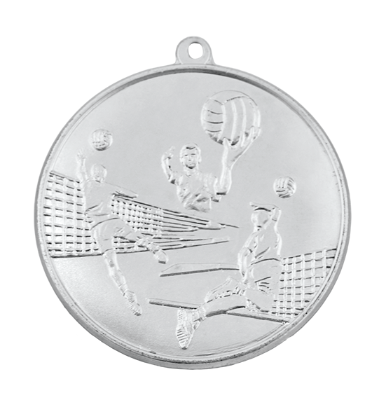 M14/50/S medal srebro siatkówka