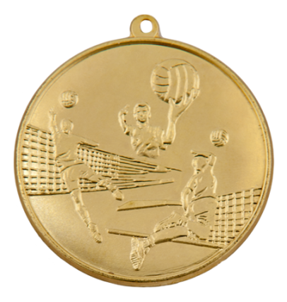 M14/50/Z medal złoto siatkówka