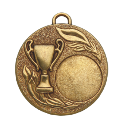 Z153/50mm medal brąz
