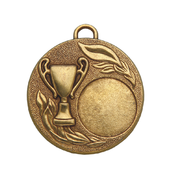 Z153/50mm medal brąz