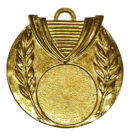 Z212/50mm medal zloto