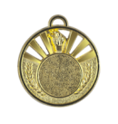 Z303/50mm medal zloto