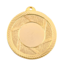 GMM8040 medal srebro 50mm