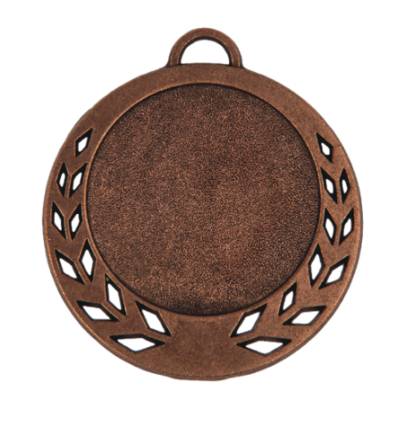 Z300 medal brąz 70mm