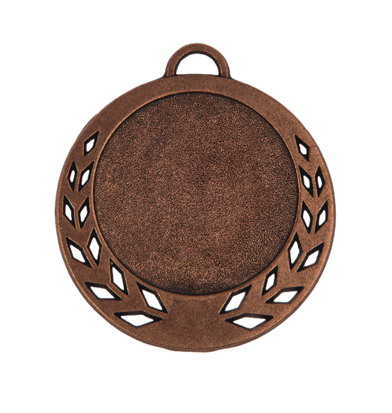 Z300 medal brąz 70mm