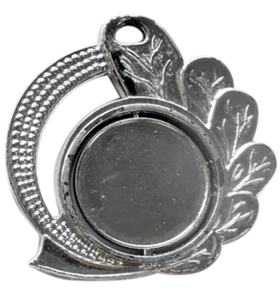 D18 medal srebro 50mm