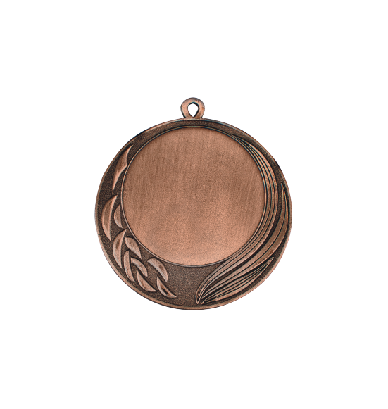 FE123 medal brąz 70mm