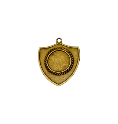 Z194 medal tarcza 55x50mm brąz