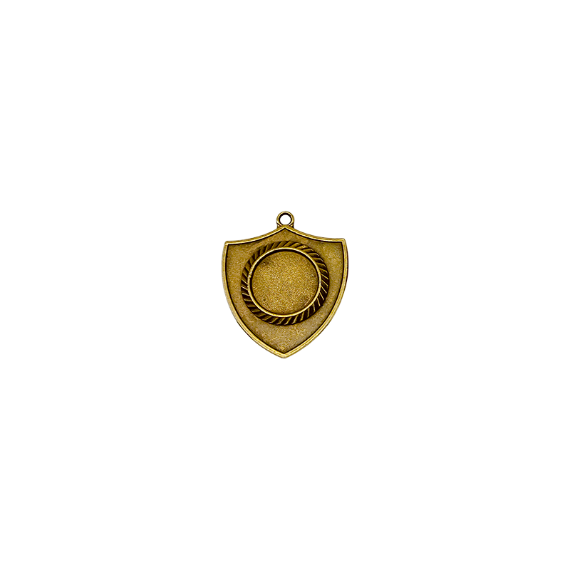 Z194 medal tarcza 55x50mm brąz
