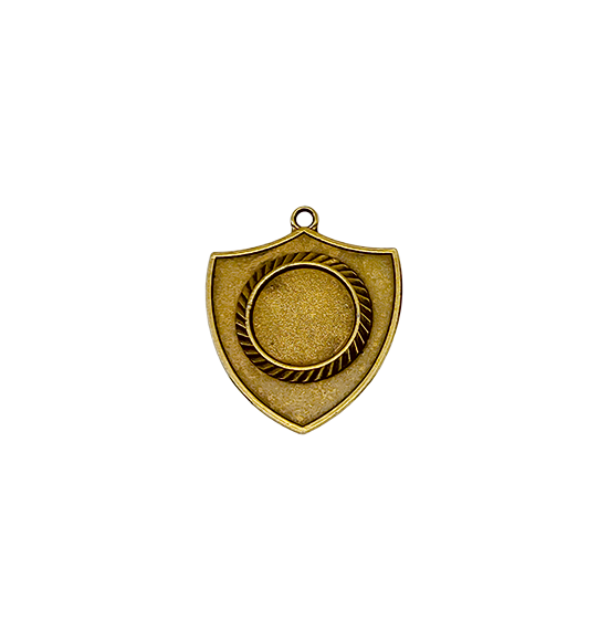 Z194 medal tarcza 55x50mm brąz
