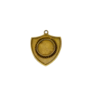 Z194 medal tarcza 55x50mm brąz