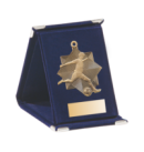 Q8/B - 58x59mm medal brąz piłka nożna