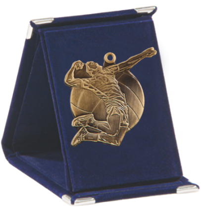 Q9/B - 61x73mm medal brąz piłka siatkowa