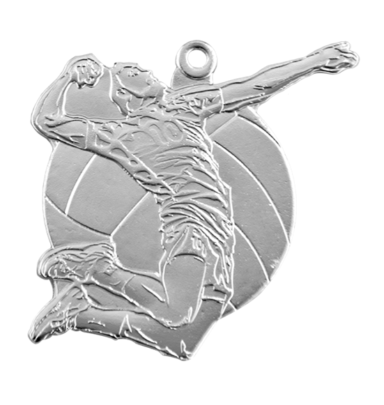 Q9/S - 61x73mm medal srebro piłka siatkowa