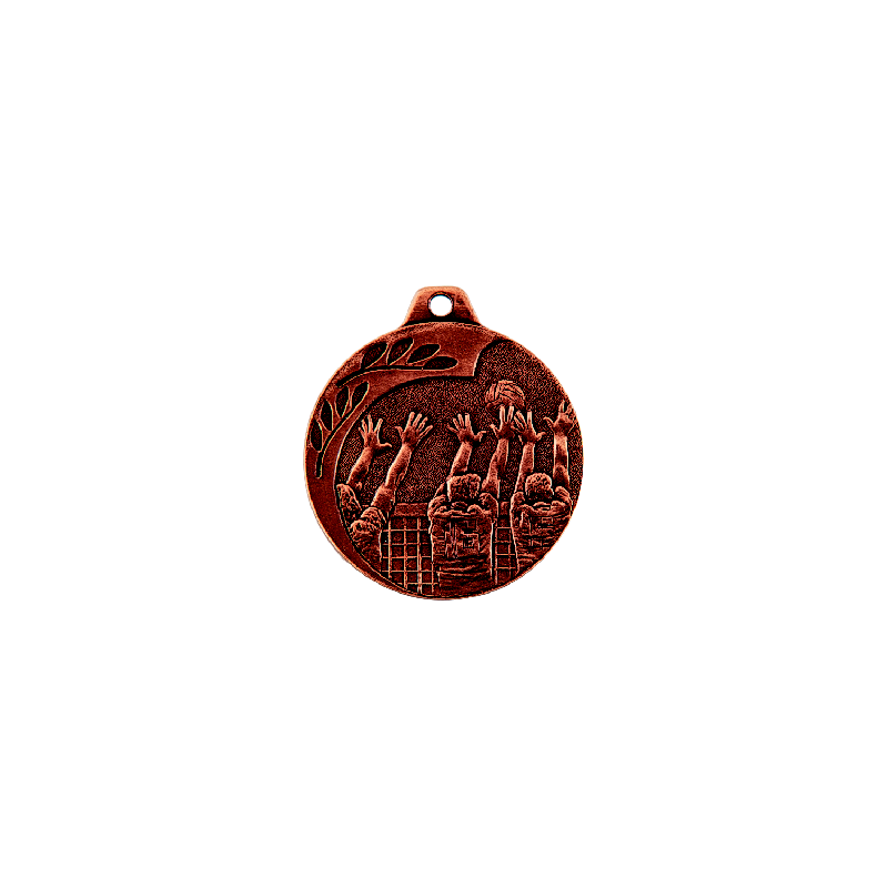 NP08/B medal brąz 40mm - siatkówka