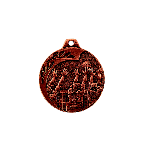 NP08/B medal brąz 40mm - siatkówka