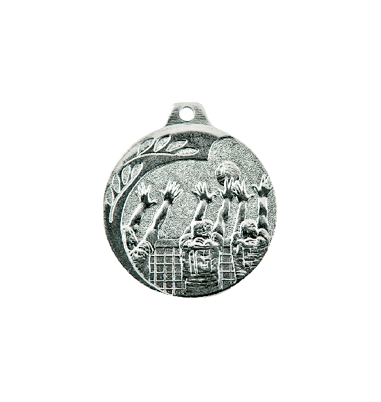 NP08/S medal srebro 40mm - siatkówka