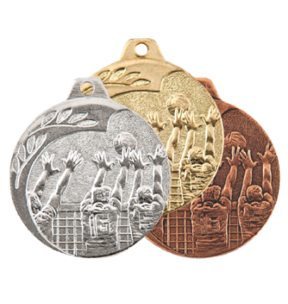 NP08/S medal srebro 40mm - siatkówka