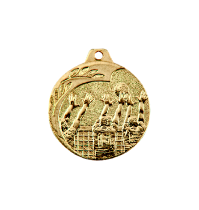 NP08/Z medal złoto 40mm - siatkówka