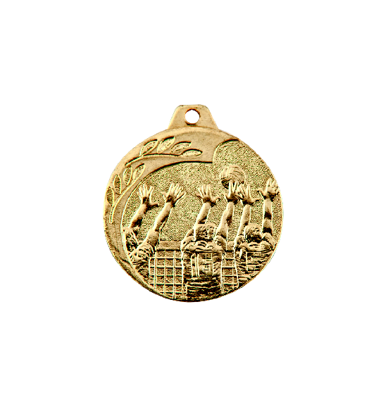 NP08/Z medal złoto 40mm - siatkówka