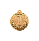 NP11/G medal złoto 40mm - numer 1