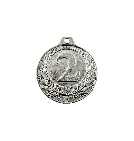 NP12/S medal srebro 40mm - numer 2