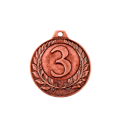 NP13/B medal brąz 40mm - numer 3