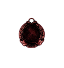 Z118 medal 40mm brąz